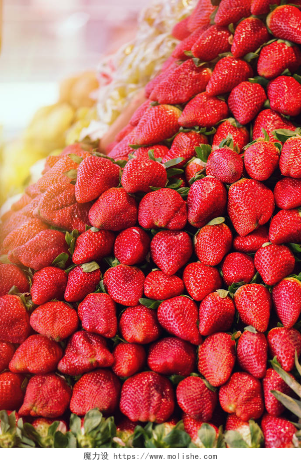 新鲜的草莓整齐的摆放在一起用完整的框架把草莓包好。 食物概念